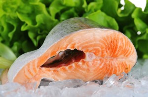 salmon_losos